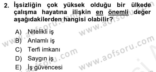 Çalışma Psikolojisi Dersi 2017 - 2018 Yılı (Vize) Ara Sınav Soruları 2. Soru