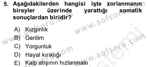 Çalışma Psikolojisi Dersi 2017 - 2018 Yılı (Vize) Ara Sınav Soruları 5. Soru
