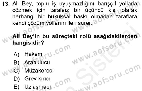 Çalışma Psikolojisi Dersi 2017 - 2018 Yılı (Final) Dönem Sonu Sınav Soruları 13. Soru