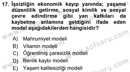 Çalışma Psikolojisi Dersi 2017 - 2018 Yılı (Final) Dönem Sonu Sınav Soruları 17. Soru