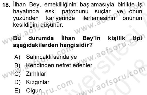 Çalışma Psikolojisi Dersi 2017 - 2018 Yılı (Final) Dönem Sonu Sınav Soruları 18. Soru