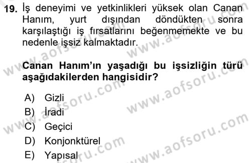 Çalışma Psikolojisi Dersi 2017 - 2018 Yılı (Final) Dönem Sonu Sınav Soruları 19. Soru