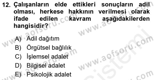 Çalışma Psikolojisi Dersi 2018 - 2019 Yılı (Vize) Ara Sınav Soruları 12. Soru