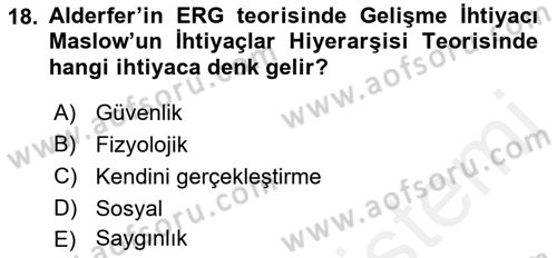 Çalışma Psikolojisi Dersi 2018 - 2019 Yılı (Vize) Ara Sınav Soruları 18. Soru