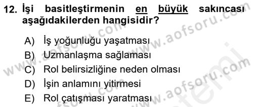 Çalışma Psikolojisi Dersi 2018 - 2019 Yılı (Final) Dönem Sonu Sınav Soruları 12. Soru