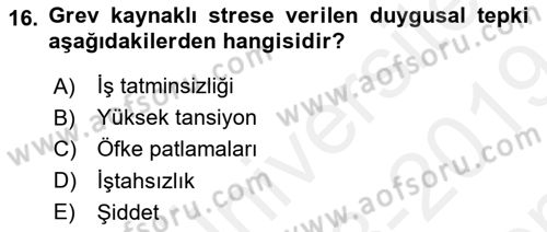 Çalışma Psikolojisi Dersi 2018 - 2019 Yılı (Final) Dönem Sonu Sınav Soruları 16. Soru