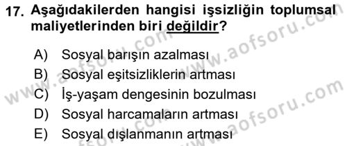 Çalışma Psikolojisi Dersi 2018 - 2019 Yılı (Final) Dönem Sonu Sınav Soruları 17. Soru