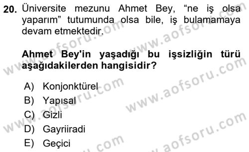 Çalışma Psikolojisi Dersi 2018 - 2019 Yılı (Final) Dönem Sonu Sınav Soruları 20. Soru