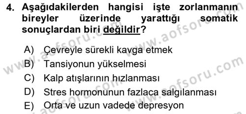 Çalışma Psikolojisi Dersi 2018 - 2019 Yılı (Final) Dönem Sonu Sınav Soruları 4. Soru