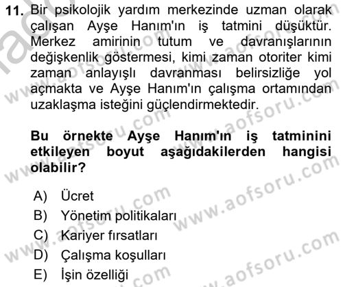 Çalışma Psikolojisi Dersi 2018 - 2019 Yılı Yaz Okulu Sınav Soruları 11. Soru