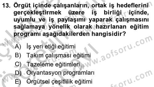 Çalışma Psikolojisi Dersi 2018 - 2019 Yılı Yaz Okulu Sınav Soruları 13. Soru