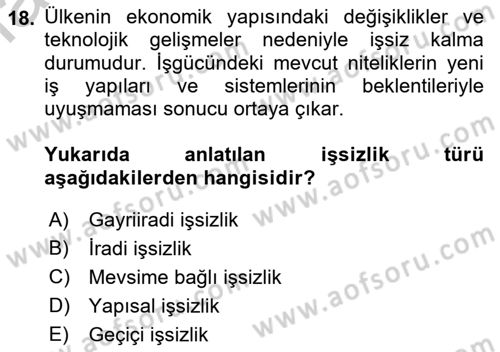 Çalışma Psikolojisi Dersi 2018 - 2019 Yılı Yaz Okulu Sınav Soruları 18. Soru