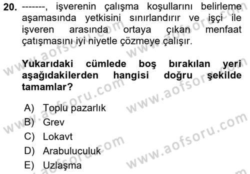 Çalışma Psikolojisi Dersi 2018 - 2019 Yılı Yaz Okulu Sınav Soruları 20. Soru
