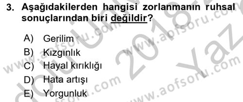 Çalışma Psikolojisi Dersi 2018 - 2019 Yılı Yaz Okulu Sınav Soruları 3. Soru