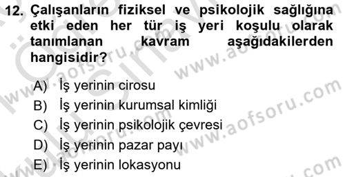 Çalışma Psikolojisi Dersi 2020 - 2021 Yılı Yaz Okulu Sınav Soruları 12. Soru