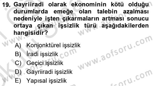 Çalışma Psikolojisi Dersi 2020 - 2021 Yılı Yaz Okulu Sınav Soruları 19. Soru