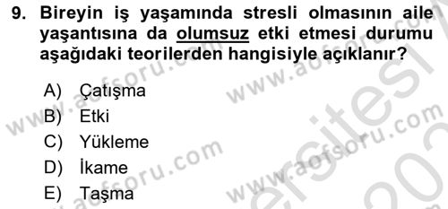 Çalışma Psikolojisi Dersi 2020 - 2021 Yılı Yaz Okulu Sınav Soruları 9. Soru