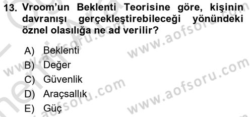 Çalışma Psikolojisi Dersi 2021 - 2022 Yılı (Vize) Ara Sınav Soruları 13. Soru