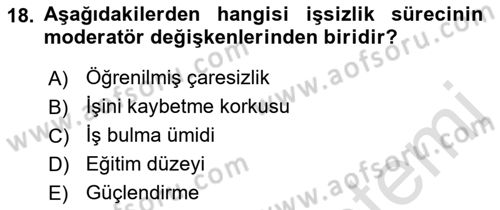 Çalışma Psikolojisi Dersi 2021 - 2022 Yılı Yaz Okulu Sınav Soruları 18. Soru