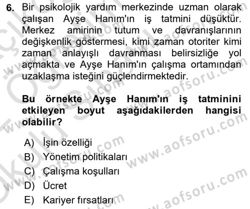 Çalışma Psikolojisi Dersi 2021 - 2022 Yılı Yaz Okulu Sınav Soruları 6. Soru
