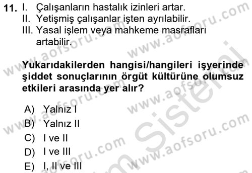 Çalışma Psikolojisi Dersi 2022 - 2023 Yılı Yaz Okulu Sınav Soruları 11. Soru