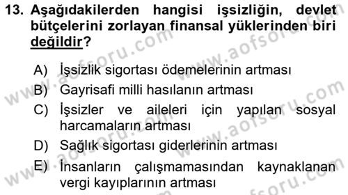 Çalışma Psikolojisi Dersi 2022 - 2023 Yılı Yaz Okulu Sınav Soruları 13. Soru