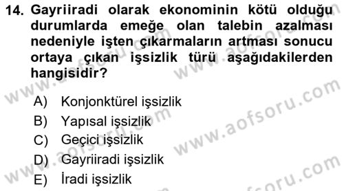 Çalışma Psikolojisi Dersi 2022 - 2023 Yılı Yaz Okulu Sınav Soruları 14. Soru