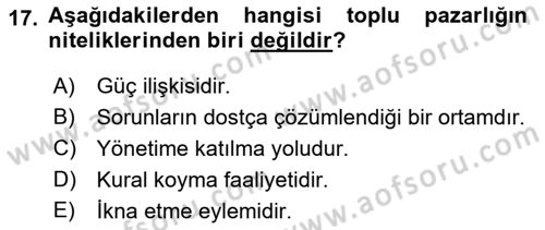 Çalışma Psikolojisi Dersi 2022 - 2023 Yılı Yaz Okulu Sınav Soruları 17. Soru