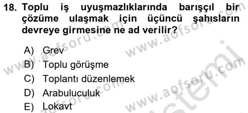 Çalışma Psikolojisi Dersi 2022 - 2023 Yılı Yaz Okulu Sınav Soruları 18. Soru