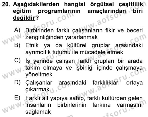 Çalışma Psikolojisi Dersi 2022 - 2023 Yılı Yaz Okulu Sınav Soruları 20. Soru