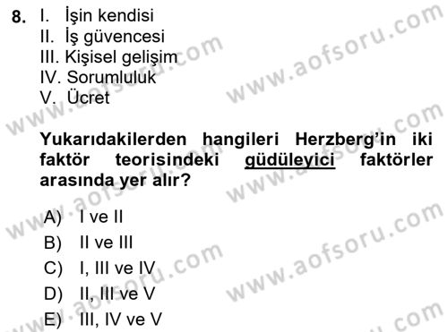 Çalışma Psikolojisi Dersi 2022 - 2023 Yılı Yaz Okulu Sınav Soruları 8. Soru