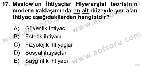 Çalışma Psikolojisi Dersi 2023 - 2024 Yılı (Vize) Ara Sınav Soruları 17. Soru