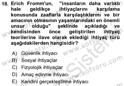 Çalışma Psikolojisi Dersi 2023 - 2024 Yılı (Vize) Ara Sınav Soruları 18. Soru