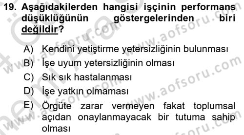 Çalışma Psikolojisi Dersi 2023 - 2024 Yılı (Vize) Ara Sınav Soruları 19. Soru