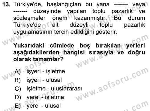 Çalışma Psikolojisi Dersi 2023 - 2024 Yılı (Final) Dönem Sonu Sınav Soruları 13. Soru