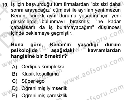 Çalışma Psikolojisi Dersi 2023 - 2024 Yılı (Final) Dönem Sonu Sınav Soruları 19. Soru