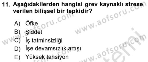 Çalışma Psikolojisi Dersi 2023 - 2024 Yılı Yaz Okulu Sınav Soruları 11. Soru