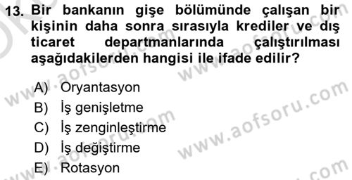 Çalışma Psikolojisi Dersi 2023 - 2024 Yılı Yaz Okulu Sınav Soruları 13. Soru