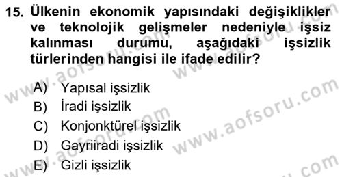 Çalışma Psikolojisi Dersi 2023 - 2024 Yılı Yaz Okulu Sınav Soruları 15. Soru