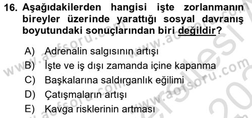 Çalışma Psikolojisi Dersi 2023 - 2024 Yılı Yaz Okulu Sınav Soruları 16. Soru
