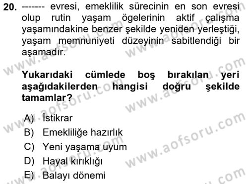 Çalışma Psikolojisi Dersi 2023 - 2024 Yılı Yaz Okulu Sınav Soruları 20. Soru
