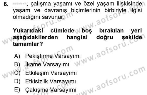 Çalışma Psikolojisi Dersi 2023 - 2024 Yılı Yaz Okulu Sınav Soruları 6. Soru