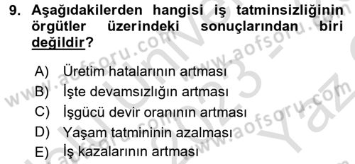 Çalışma Psikolojisi Dersi 2023 - 2024 Yılı Yaz Okulu Sınav Soruları 9. Soru