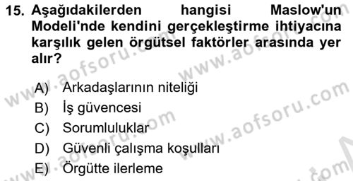 Çalışma Psikolojisi Dersi 2024 - 2025 Yılı (Vize) Ara Sınav Soruları 15. Soru