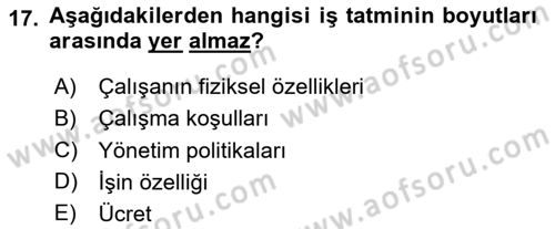 Çalışma Psikolojisi Dersi 2024 - 2025 Yılı (Vize) Ara Sınav Soruları 17. Soru