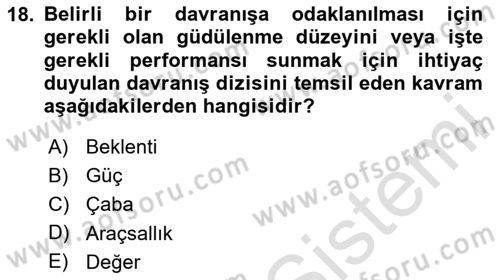 Çalışma Psikolojisi Dersi 2024 - 2025 Yılı (Vize) Ara Sınav Soruları 18. Soru