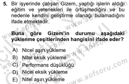 Çalışma Psikolojisi Dersi 2024 - 2025 Yılı (Vize) Ara Sınav Soruları 5. Soru