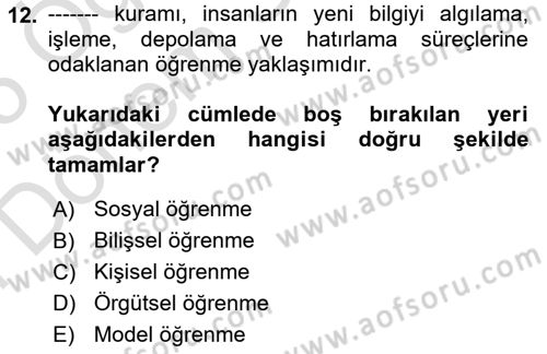 Çalışma Psikolojisi Dersi 2024 - 2025 Yılı (Final) Dönem Sonu Sınav Soruları 12. Soru