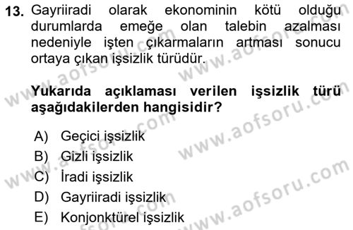 Çalışma Psikolojisi Dersi 2024 - 2025 Yılı (Final) Dönem Sonu Sınav Soruları 13. Soru