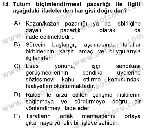 Çalışma Psikolojisi Dersi 2024 - 2025 Yılı (Final) Dönem Sonu Sınav Soruları 14. Soru
